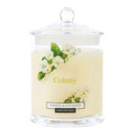 Colony Jasmine & Oudwood Large Candle Jar 685g