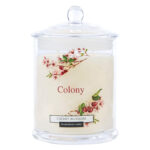 Colony Large Candle Cherry Blossom Jar 685g