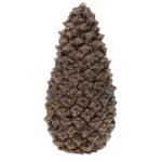 Pinecone Candle 45h Brown