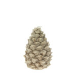 Pine Cone Candle 6h Beige