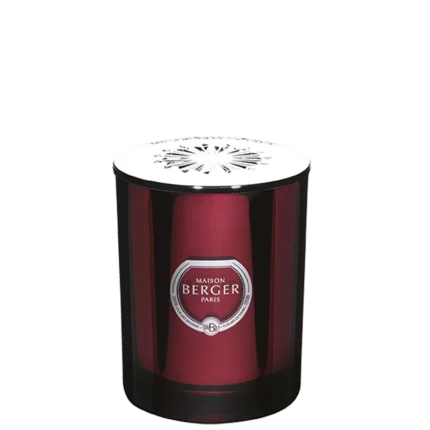 Prisme Candle Grenat Terre Sauvage 240g