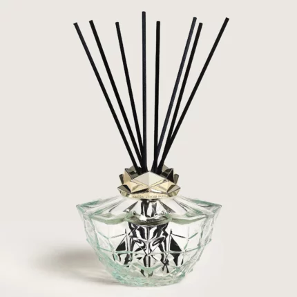 Kali Transparent Scented Bouquet